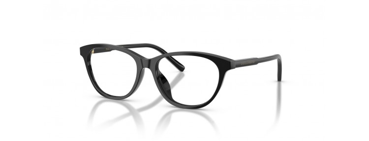 Dolce&Gabbana DX3002 501 -...