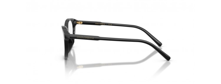 Dolce&Gabbana DX3002 501 -...