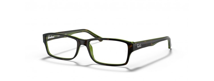 Ray-Ban RX5169 2383 - Havana sur vert...
