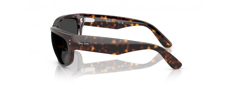 Ray-Ban RB2289 902/48 Mega...