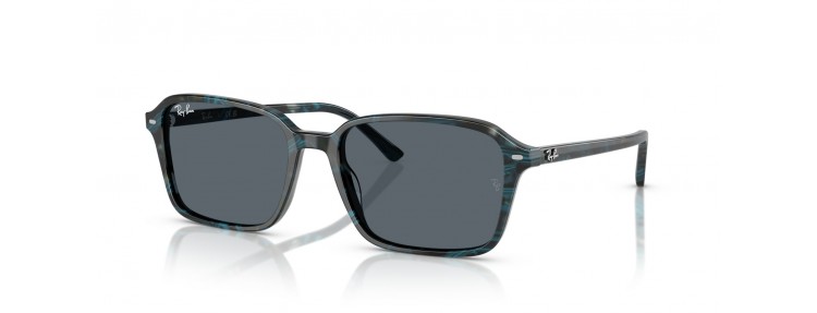Ray-Ban RB2231 1417R5...