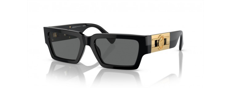 Versace VE4459 GB1/87 - Noir / Gris...