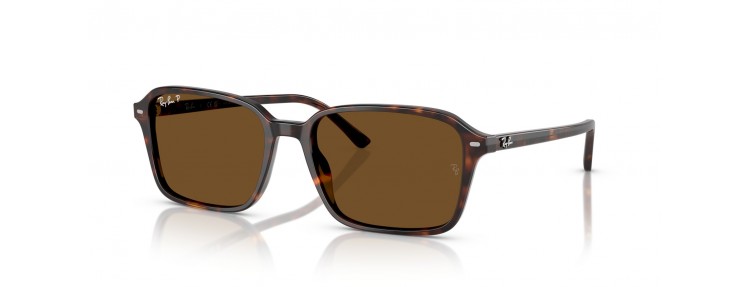 Ray-Ban RB2231 902/57 Raimond -...