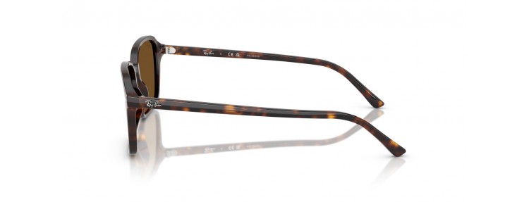Ray-Ban RB2231 902/57...