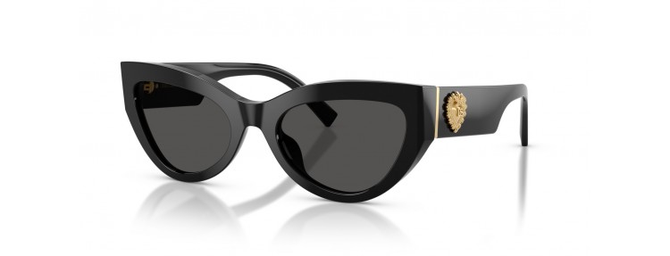 Dolce&Gabbana DG4536 501/87 - Noir /...