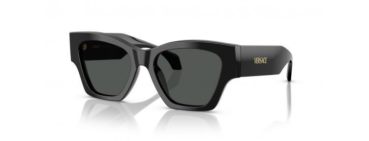 Versace VE4492U GB1/87 - Noir / Gris...