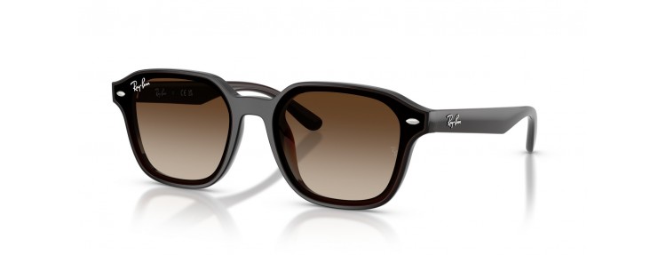 Ray-Ban RB4458D 714/13 - Marron foncé...
