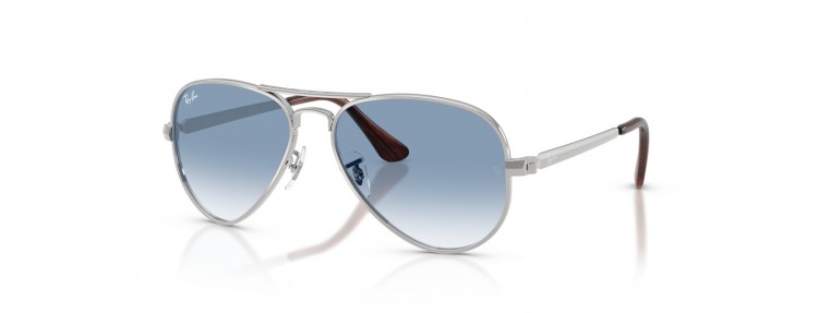 Ray-Ban RB3925 003/3F Aviator Max -...