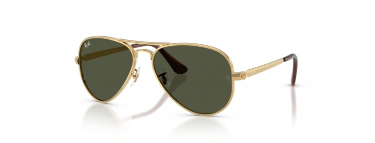 Ray-Ban RB3925 001/31 Aviator Max -...