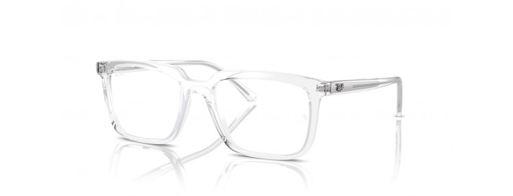 Ray-Ban RX7239 2001 Alain -...