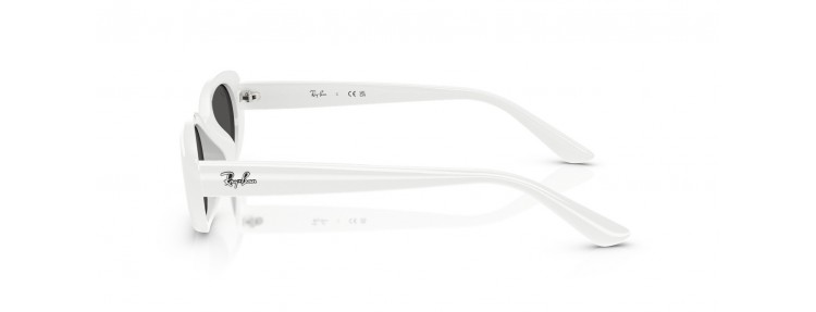 Ray-Ban RB4441D 677287 -...