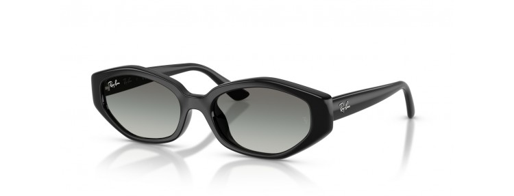 Ray-Ban RB4473D 667711 - Noir /...