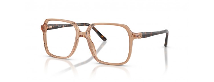 Sferoflex SF1581 C655 - Marron...