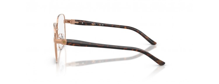 Sferoflex SF2606 488 -...