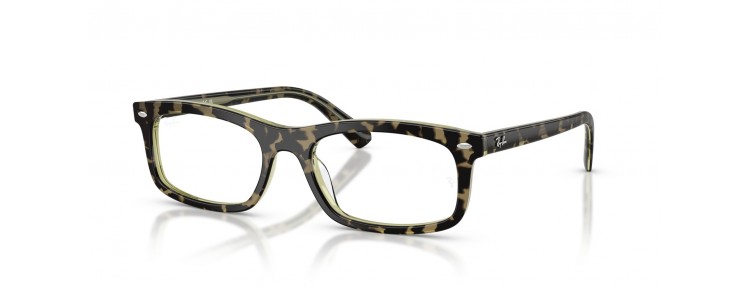 Ray-Ban RX5450 8485 - Havana vert -...