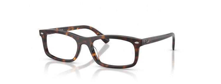 Ray-Ban RX5450 2012 - Havana - 54 /...