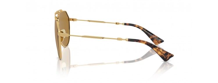 Dolce&Gabbana DG2302 02/53...