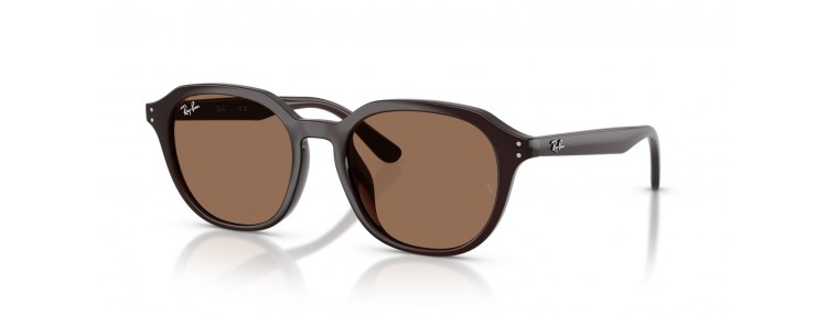 Ray-Ban RB4459D 623173 - Marron...