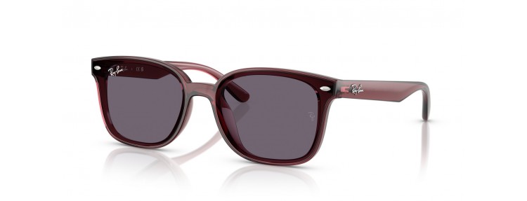 Ray-Ban RB4461D 659373 - Marron foncé...