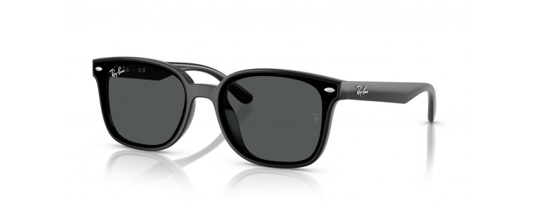 Ray-Ban RB4461D 601/87 - Noir / Gris...