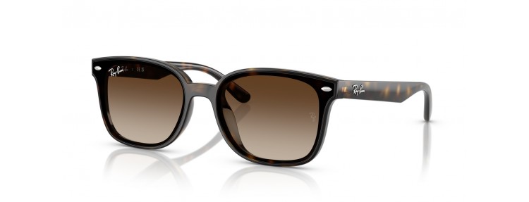 Ray-Ban RB4461D 710/13 - Havana /...