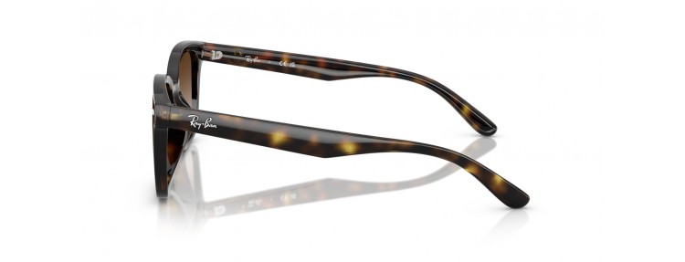 Ray-Ban RB4461D 710/13 -...