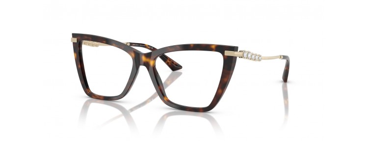 Jimmy Choo JC3020B 5002 - Havana - 53...
