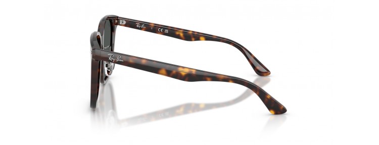 Ray-Ban RB2206D 710/87 -...