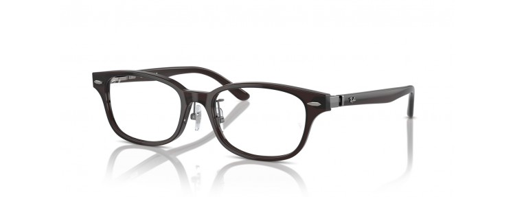 Ray-Ban RX5427D 8290 - Transparent...