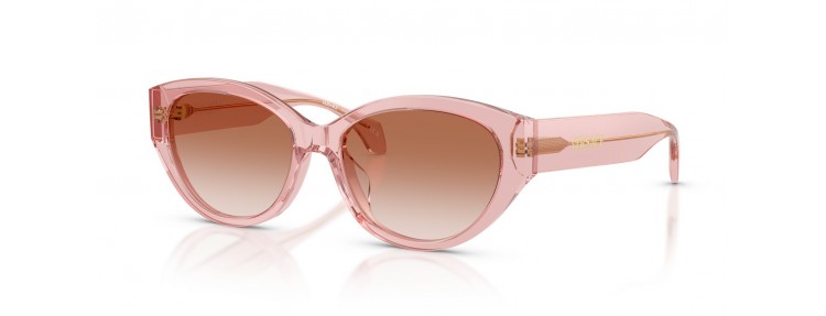 Versace VE4495D 543413 - Pêche...