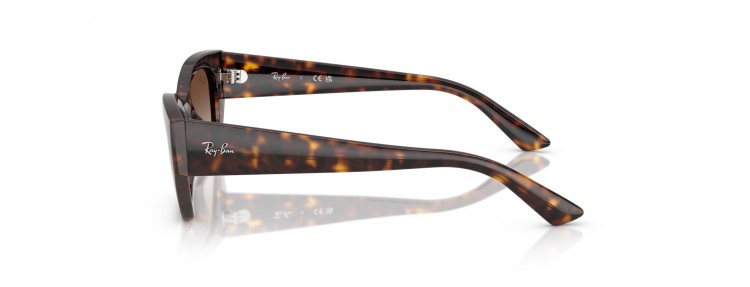 Ray-Ban RB4430 135913 Zena...