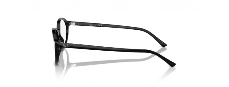 Ray-Ban RX5429 2000 German...