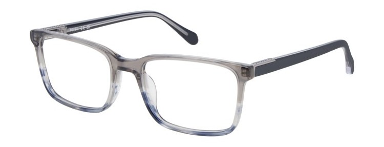 Fossil Fos 7229 1125392W85418 - Grey...