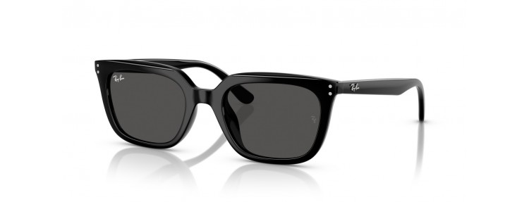 Ray-Ban RB4439D 901/87 - Noir / Gris...