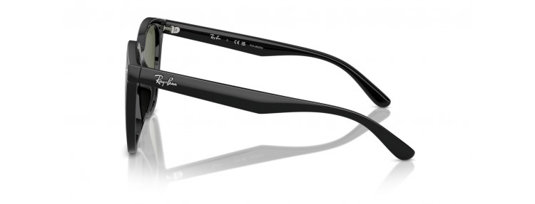 Ray-Ban RB4423D 601/9A -...