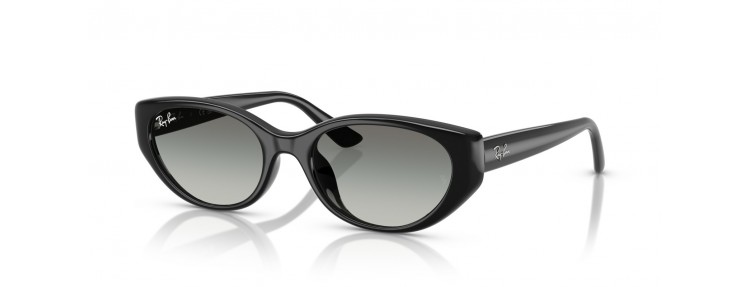Ray-Ban RB4457D 667711 - Noir /...