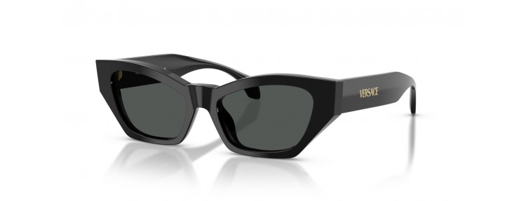 Versace VE4488U GB1/87 - Noir / Gris...