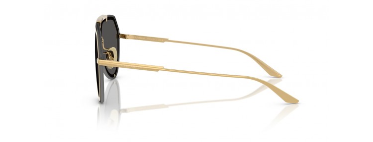 Dolce&Gabbana DG2309 02/87...