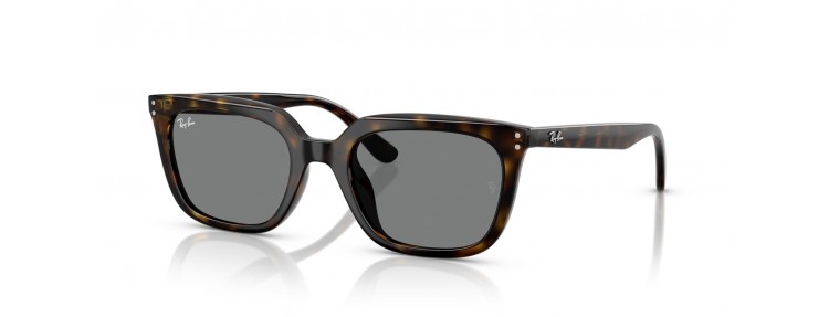 Ray-Ban RB4439D 710/87 -...