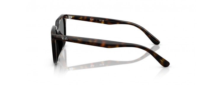 Ray-Ban RB4439D 710/87 -...