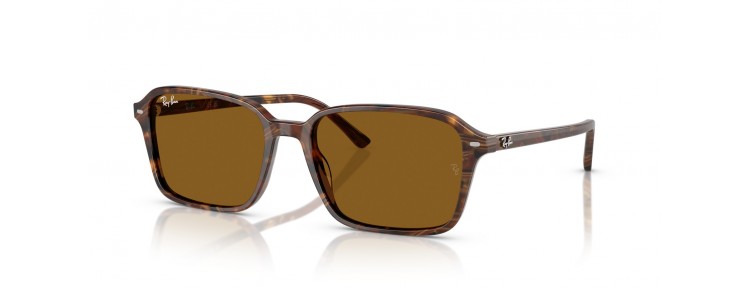 Ray-Ban RB2231 141833 Raimond -...