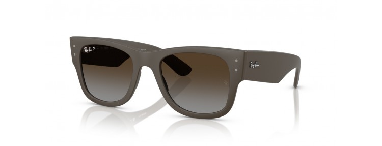 Ray-Ban RB4840S 6124T5 - Sable marron...