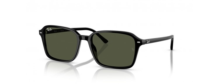Ray-Ban RB2231 901/31 Raimond - Noir...