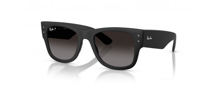 Ray-Ban RB4840S 601ST3 - Sable noir /...