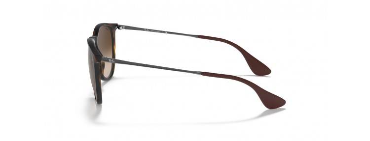 Ray-Ban RB4171 865/13 Erika...