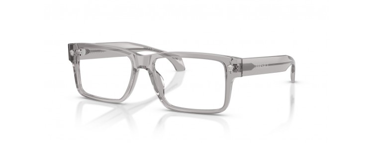 Versace VE3391U 593 - Gris clair...