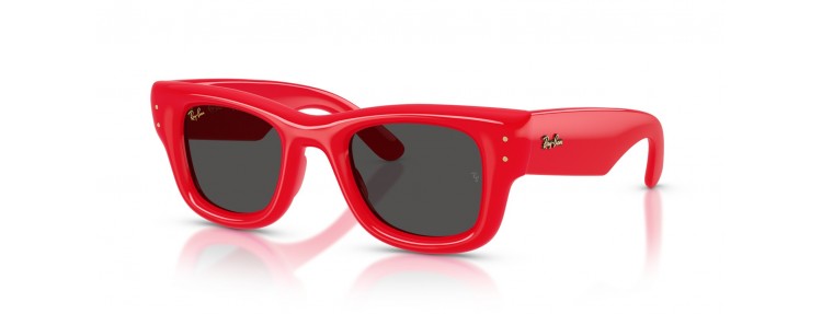 Ray-Ban RB4940 683187...