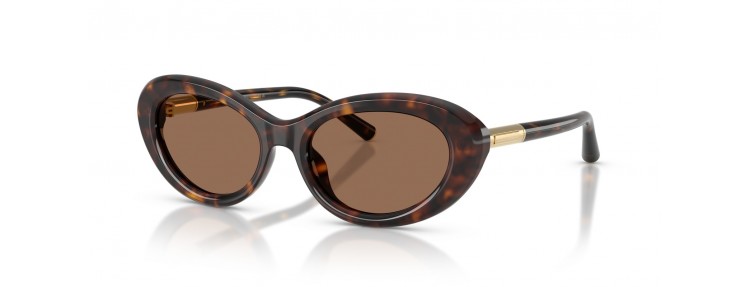 Dolce&Gabbana DG4519 502/73 - Havana...
