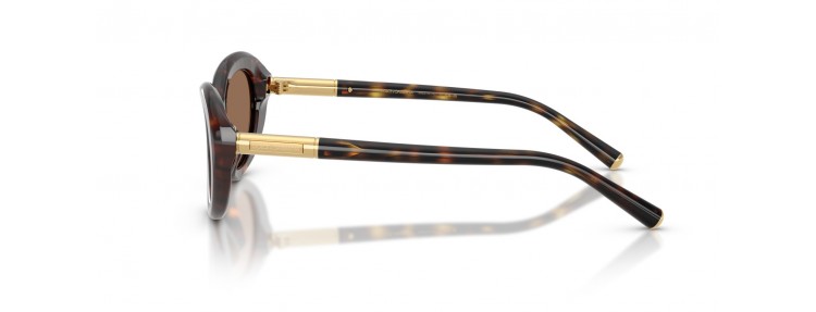 Dolce&Gabbana DG4519 502/73...