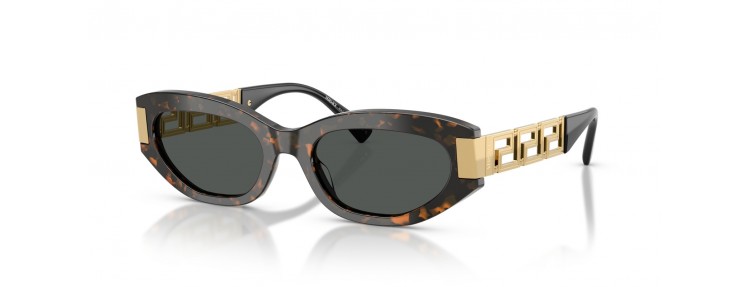 Versace VE4501 552887 - Marron...